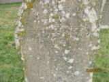 image of grave number 778311